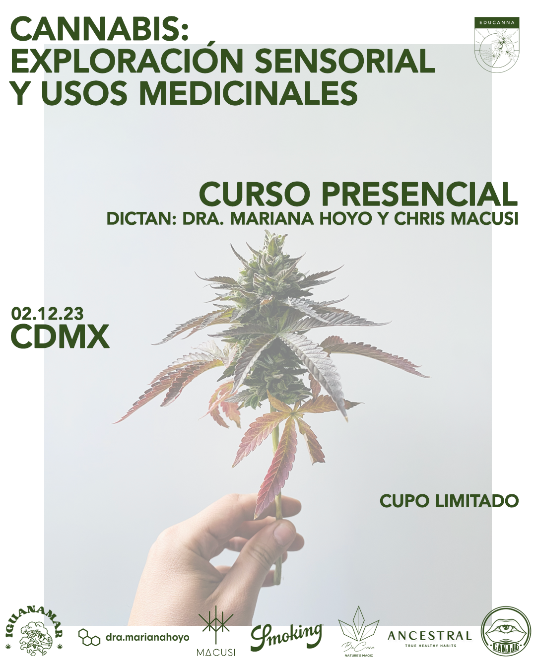 50% Curso presencial: Cannabis: Exploración Sensorial y Usos Medicinales