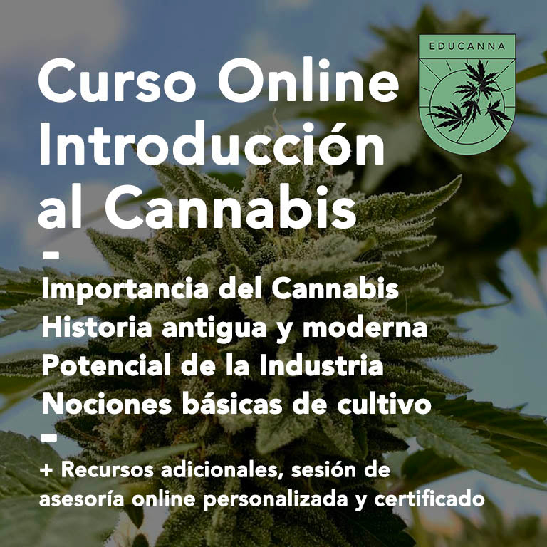 Curso Online "Introducción al Cannabis"